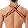 Barcode Berlin Harnais élastique Colin Orange
